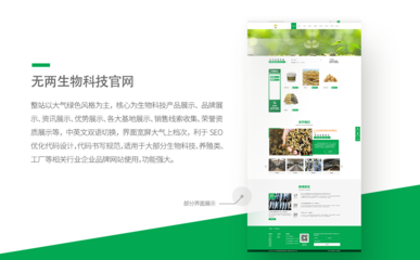 ViSNature Bio-Labs – 绿色宽屏中英文官网设计理念